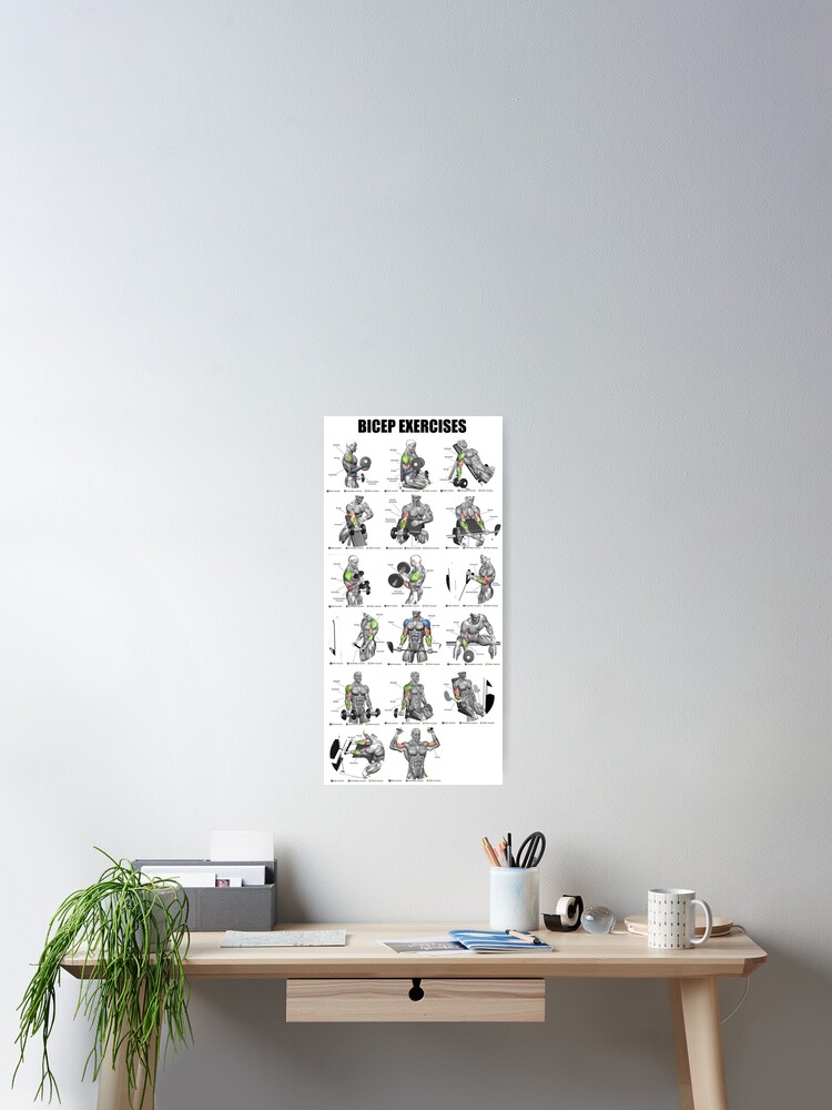 Bicep Exercises Poster
