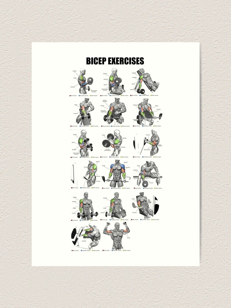 Bicep Exercises Art Print for Sale by superfitstuff