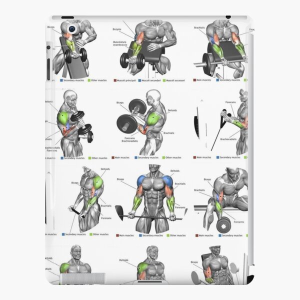 Best Exercises For Each Muscle Group (Posterior) | iPad Case & Skin