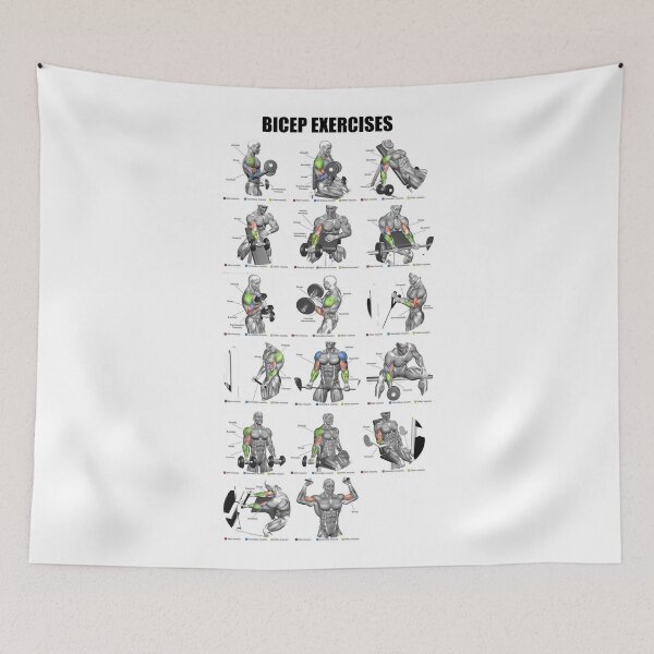 Item preview, Bicep Exercises designed and sold by superfitstuff.
