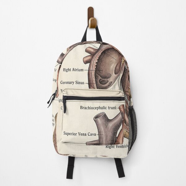 Item preview, Vintage Human Heart Anatomy Diagram - Anterior View & Dissection designed and sold by Body Part Archive.