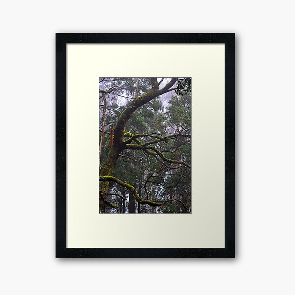Item preview, Macedon lichen designed and sold by salsbells69.