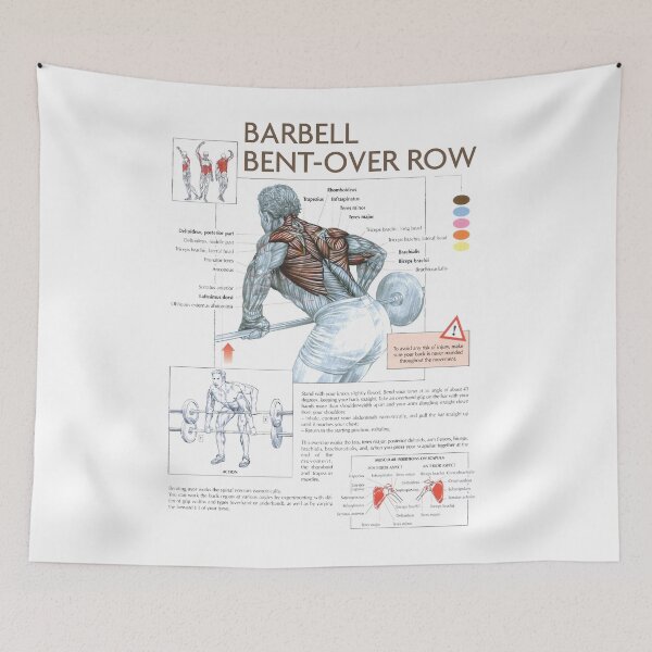 Item preview, Barbell Bent-Over Row - Exercise Diagram designed and sold by superfitstuff.