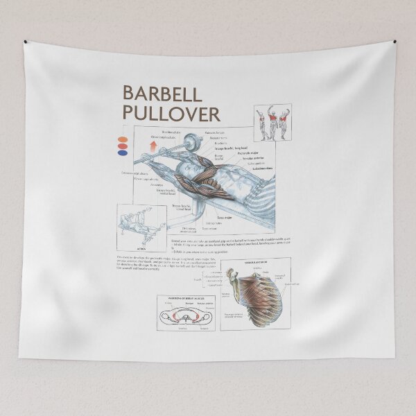 Item preview, Barbell Pullover - Exercise Diagram designed and sold by superfitstuff.