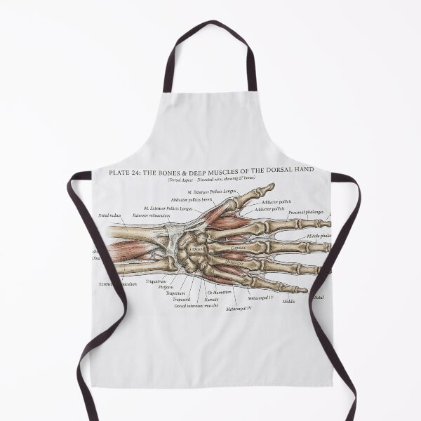 Item preview, Vintage Human Hand Anatomy Diagram - Bones & Muscles Plate designed and sold by Body Part Archive.