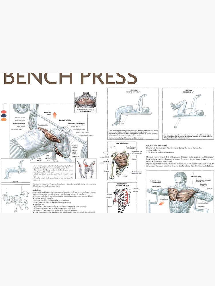 Bench Press Exercise Diagram Laptop Skin By Superfitstuff