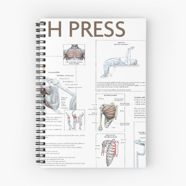 Item preview, Bench Press - Exercise Diagram designed and sold by superfitstuff.
