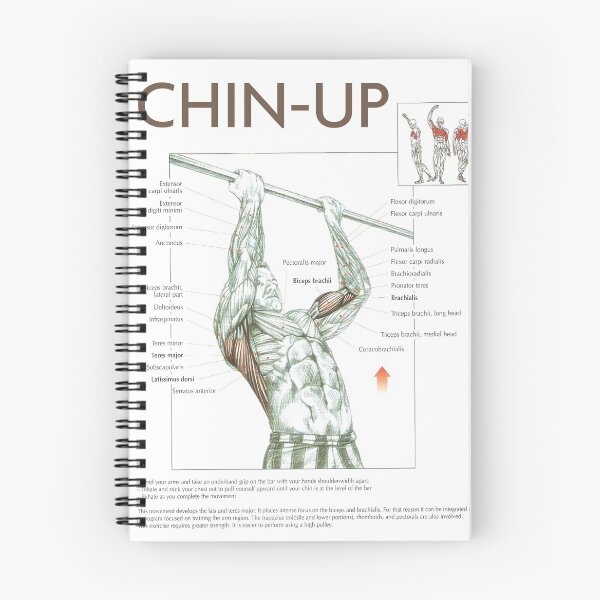 Item preview, Chin-Up - Exercise Diagram designed and sold by superfitstuff.