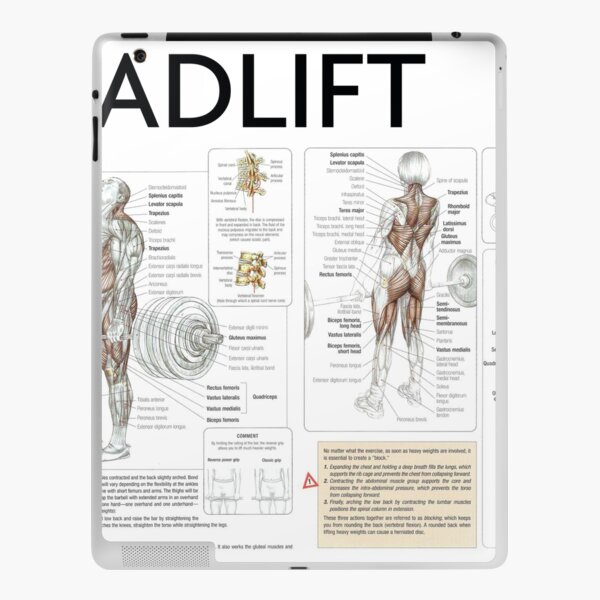 Best Exercises For Each Muscle Group (Posterior) | iPad Case & Skin