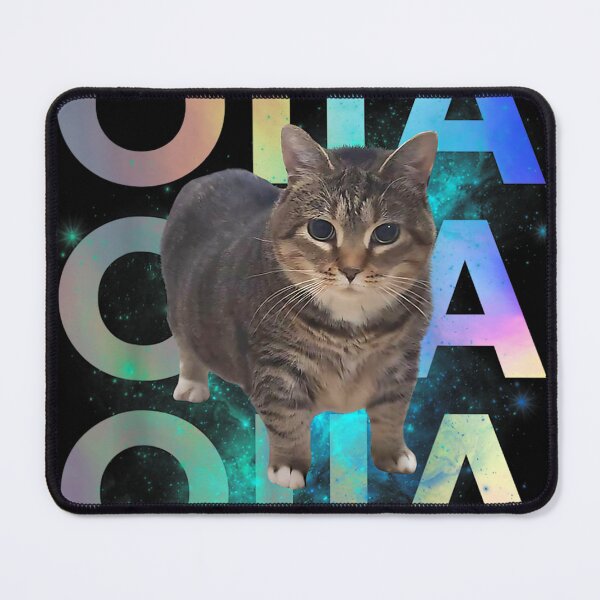 Item preview, Funny OIIA OIIA Spinning Cat Meme Funny Brainrot Ethel Space designed and sold by colornatics.