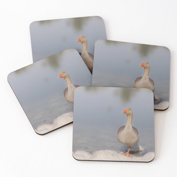 Item preview, Grey Goose Balancing on One Leg - Serene Wildlife Photography designed and sold by AbulailArt.