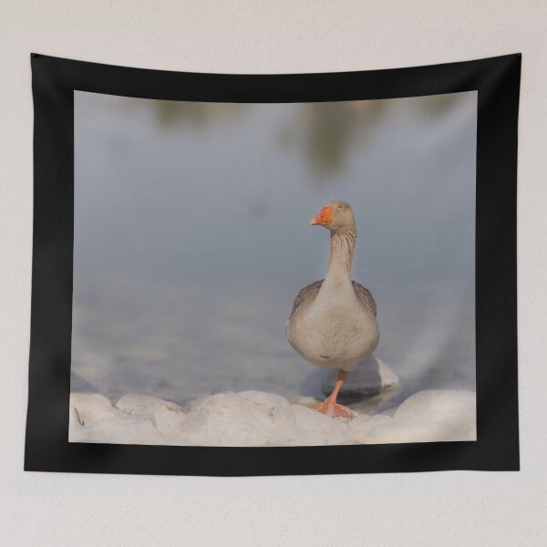 Item preview, Grey Goose Balancing on One Leg - Serene Wildlife Photography designed and sold by AbulailArt.