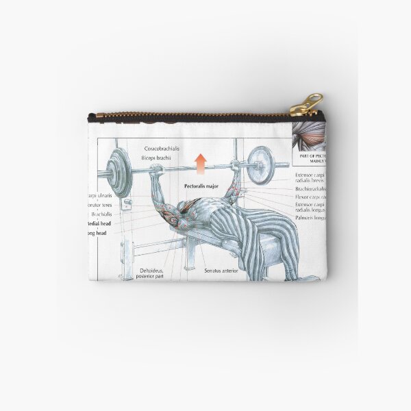 Item preview, Decline Bench Press - Exercise Diagram designed and sold by superfitstuff.