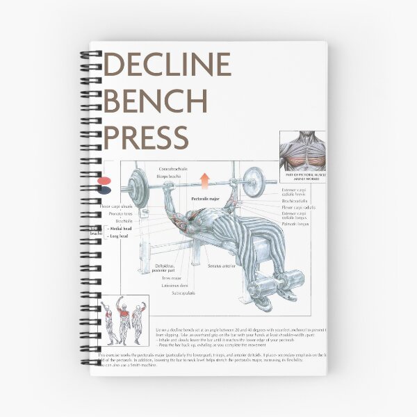 Item preview, Decline Bench Press - Exercise Diagram designed and sold by superfitstuff.