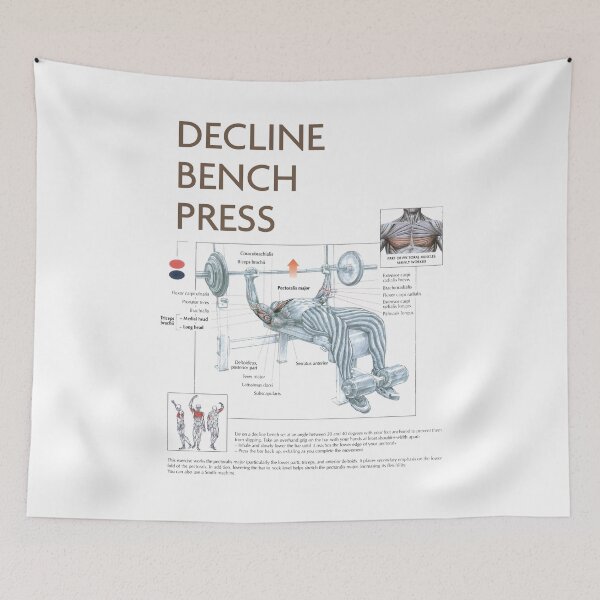 Item preview, Decline Bench Press - Exercise Diagram designed and sold by superfitstuff.