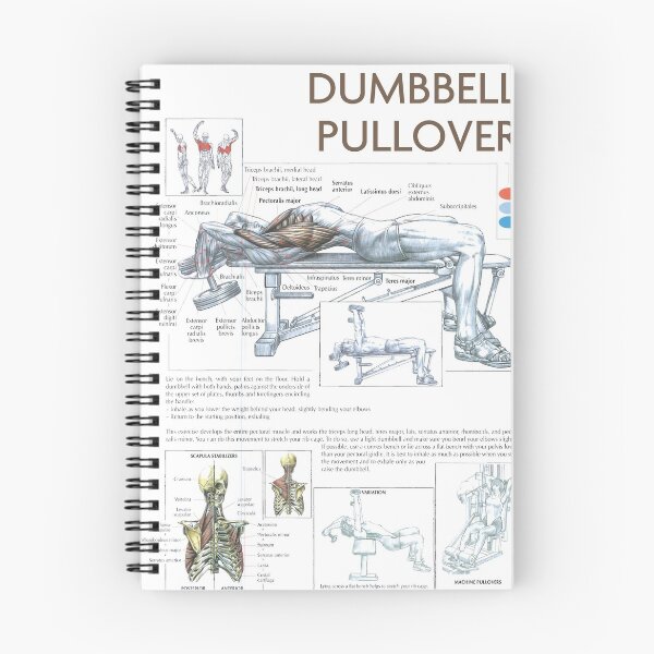 Item preview, Dumbbell Pullover - Exercise Diagram designed and sold by superfitstuff.