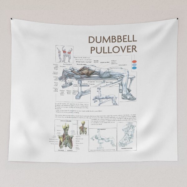Item preview, Dumbbell Pullover - Exercise Diagram designed and sold by superfitstuff.