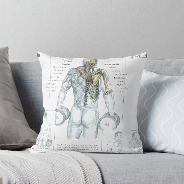 Item preview, Dumbbell Shrug - Exercise Diagram designed and sold by superfitstuff.