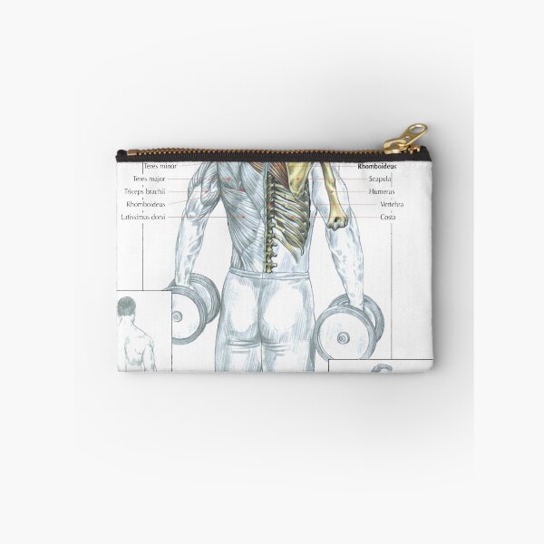 Item preview, Dumbbell Shrug - Exercise Diagram designed and sold by superfitstuff.