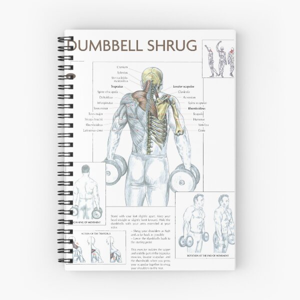 Item preview, Dumbbell Shrug - Exercise Diagram designed and sold by superfitstuff.