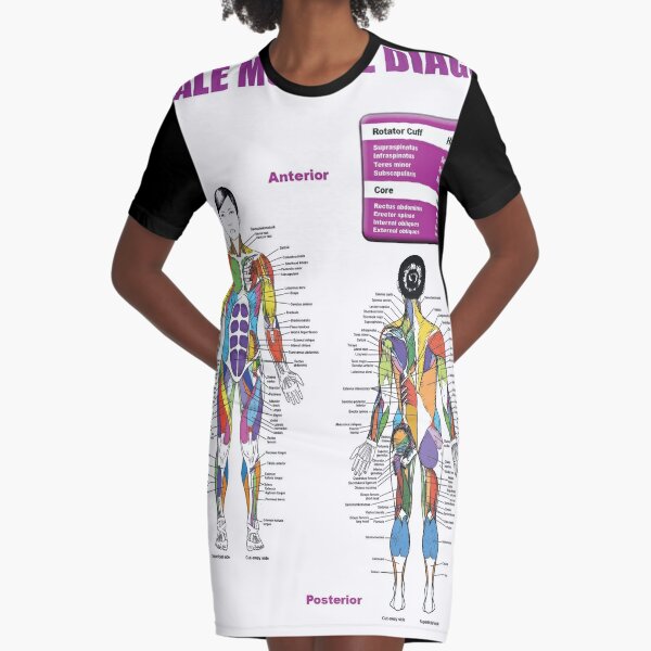Female Muscle Diagram Anatomy Chart Graphic T Shirt Dress By