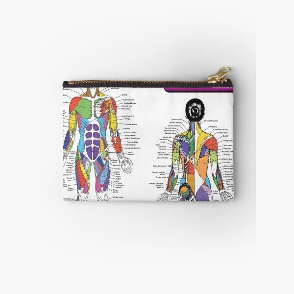 Item preview, Female Muscle Diagram - Anatomy Chart designed and sold by superfitstuff.