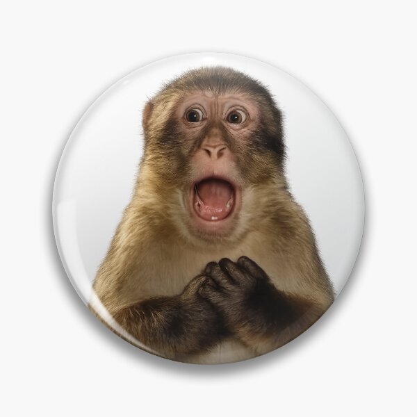 Item preview, Shocked Monkey Funny Reaction Face designed and sold by DAVIESLLC.
