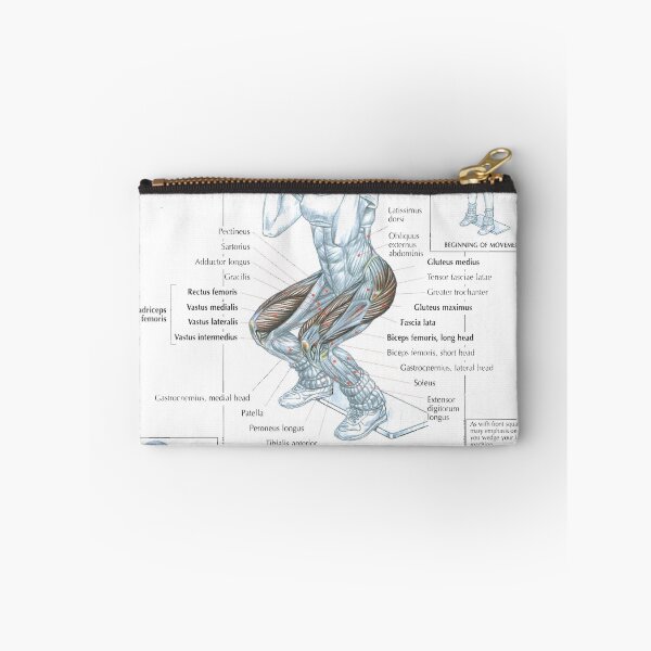 Item preview, Front Squat - Exercise Diagram designed and sold by superfitstuff.