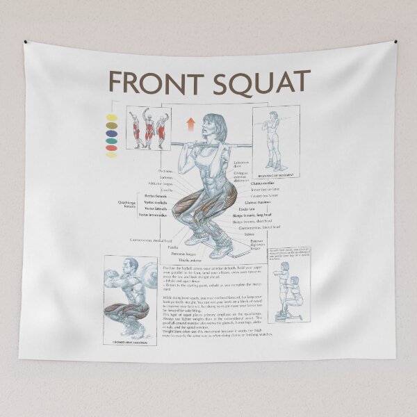 Item preview, Front Squat - Exercise Diagram designed and sold by superfitstuff.