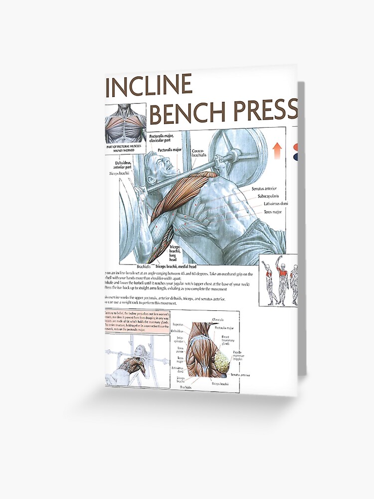 Incline Bench Press Exercise Diagram Greeting Card By
