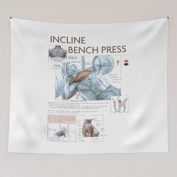 Item preview, Incline Bench Press - Exercise Diagram designed and sold by superfitstuff.