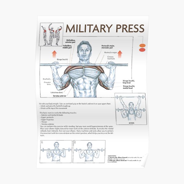 Military Press - Exercise Diagram Poster