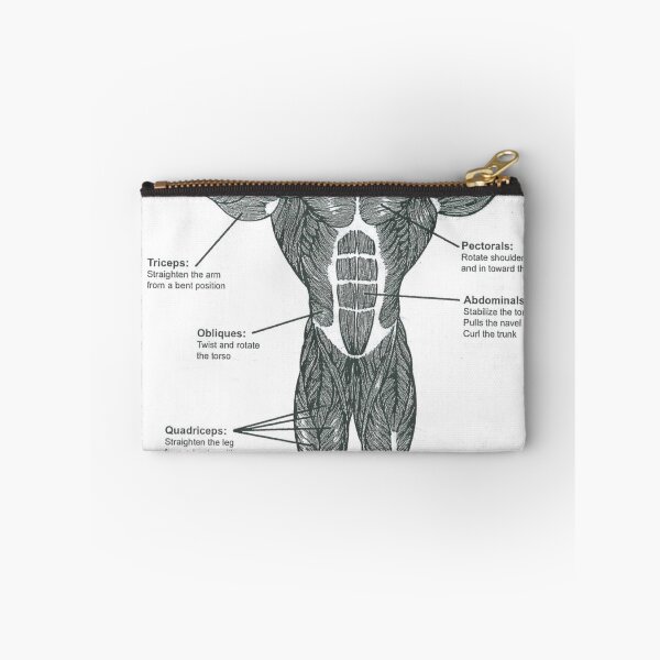 Item preview, Anatomy Diagram - Muscle Chart (Front) designed and sold by superfitstuff.