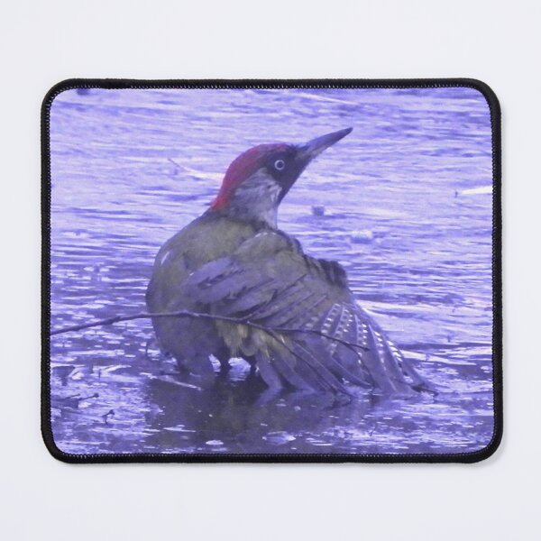 Item preview, Green woodpecker in the bath designed and sold by TinequeW.
