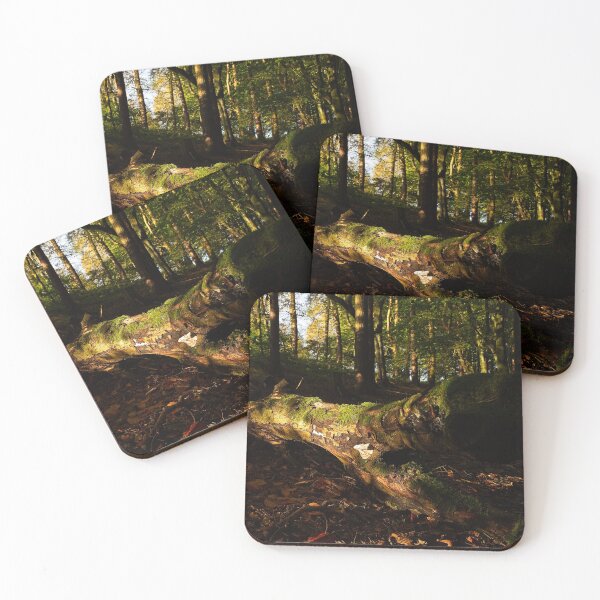 Item preview, Morning sun shines through trees onto fallen tree designed and sold by Stephen Jarman.