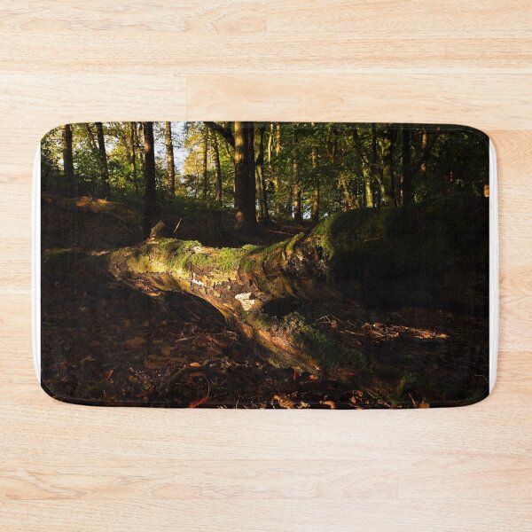 Item preview, Morning sun shines through trees onto fallen tree designed and sold by Stephen Jarman.