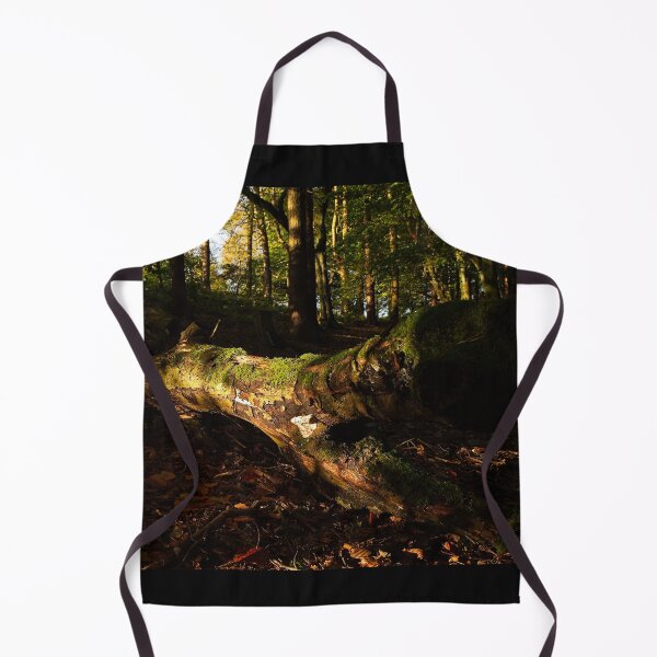 Item preview, Morning sun shines through trees onto fallen tree designed and sold by Stephen Jarman.