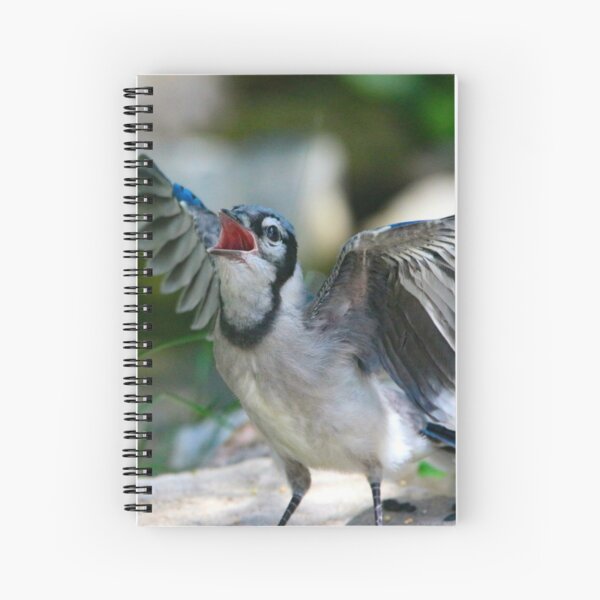 Baby Jay Spiral Notebook