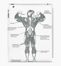 Anatomy Diagram - Muscle Chart (Back) iPad Case/Skin