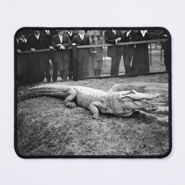 Item preview, Los Angeles Alligator Farm designed and sold by The Paper Archive.