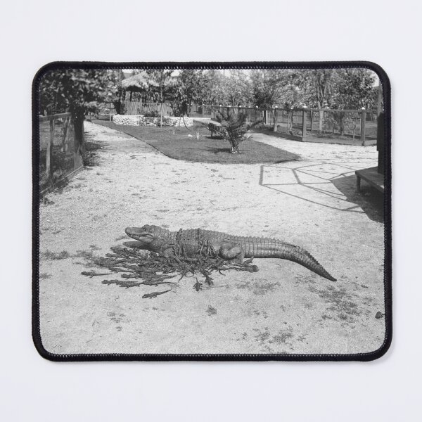 Item preview, Los Angeles Alligator Farm designed and sold by The Paper Archive.