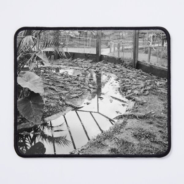 Item preview, Los Angeles Alligator Farm designed and sold by The Paper Archive.