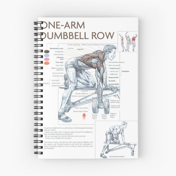 Item preview, Dumbbell Row - Exercise Diagram designed and sold by superfitstuff.