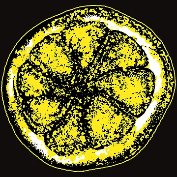 Artwork thumbnail, Stone Roses Merch The Stone Roses Lemon Ringer by Lost Youth