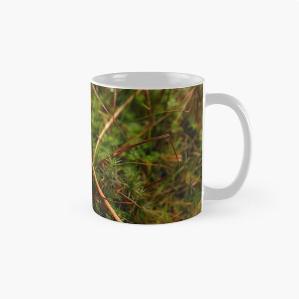 Item preview, Mushroom in damp moorland setting designed and sold by Stephen Jarman.