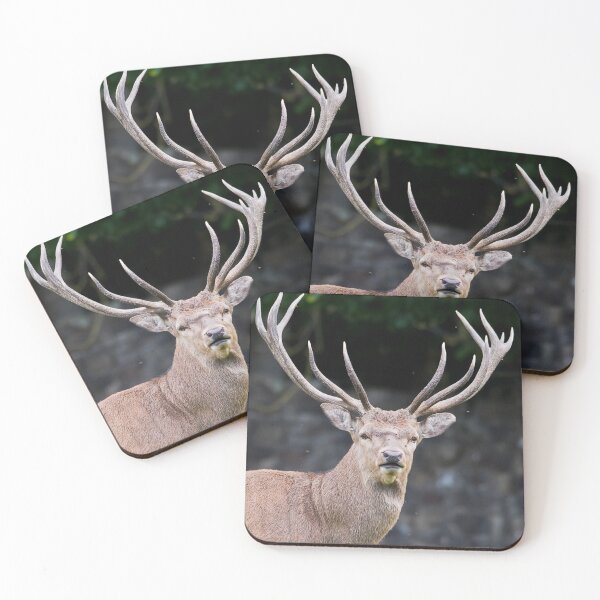 Item preview, Single deer with large antlers designed and sold by Stephen Jarman.