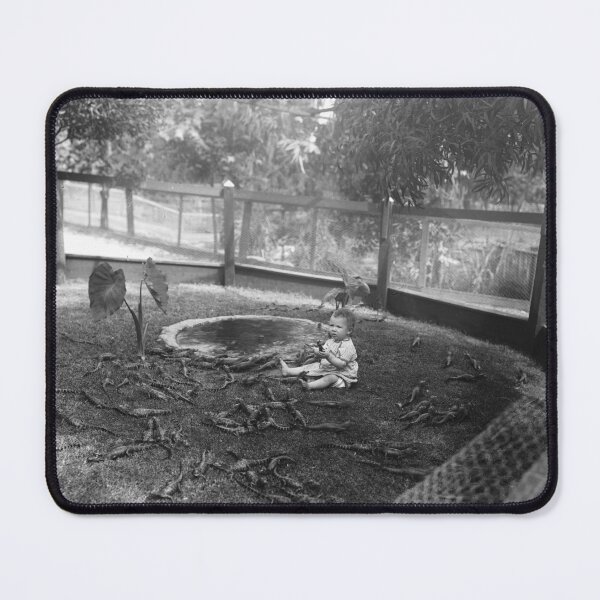 Item preview, Los Angeles Alligator Farm designed and sold by The Paper Archive.