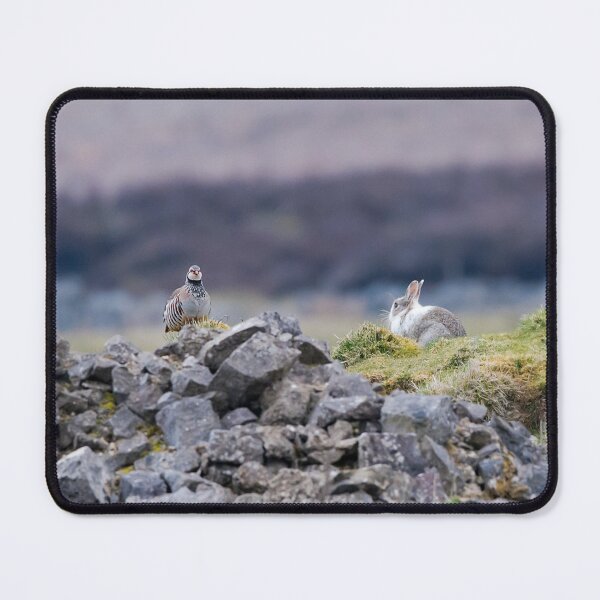Item preview, A grouse and a rabbit socialising designed and sold by Stephen Jarman.