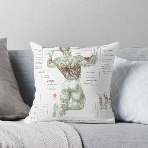 Item preview, Pull-Up - Exercise Diagram designed and sold by superfitstuff.