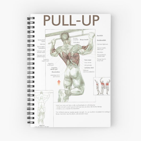 Item preview, Pull-Up - Exercise Diagram designed and sold by superfitstuff.